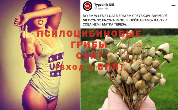 кокаин колумбия Горнозаводск