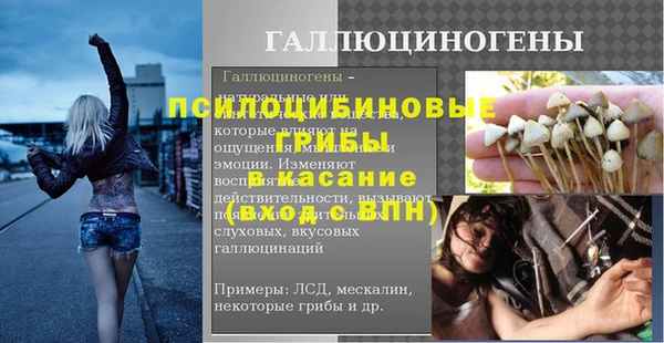 гидропоника Вяземский