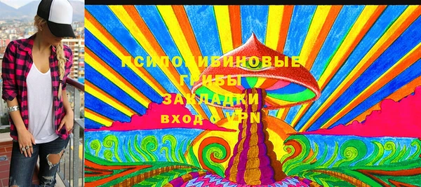 гидропоника Вяземский